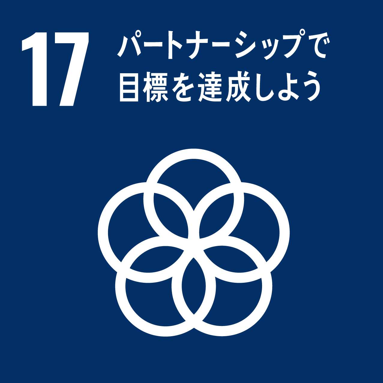 17．17.パートナーシップで目標を達成しよう