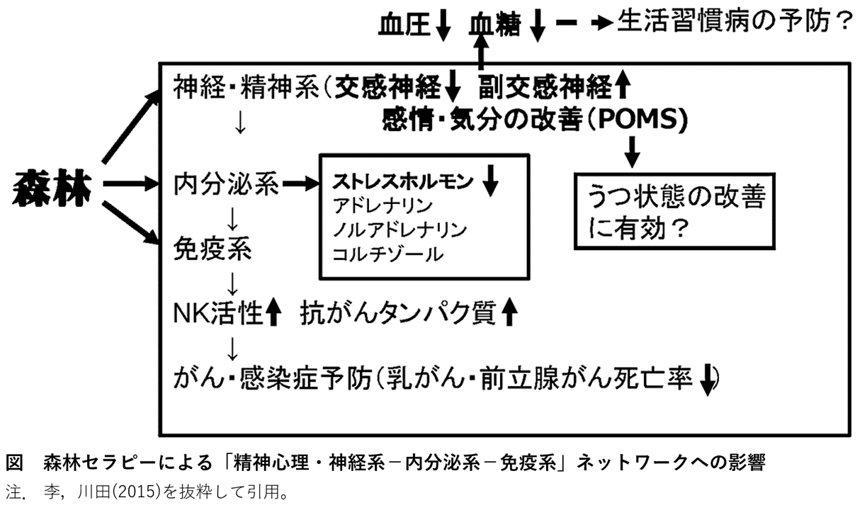 木材の匂いを嗅ぐと、免疫力が上昇したとの報告があります | 木を